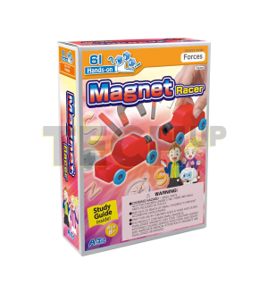 Magnet
